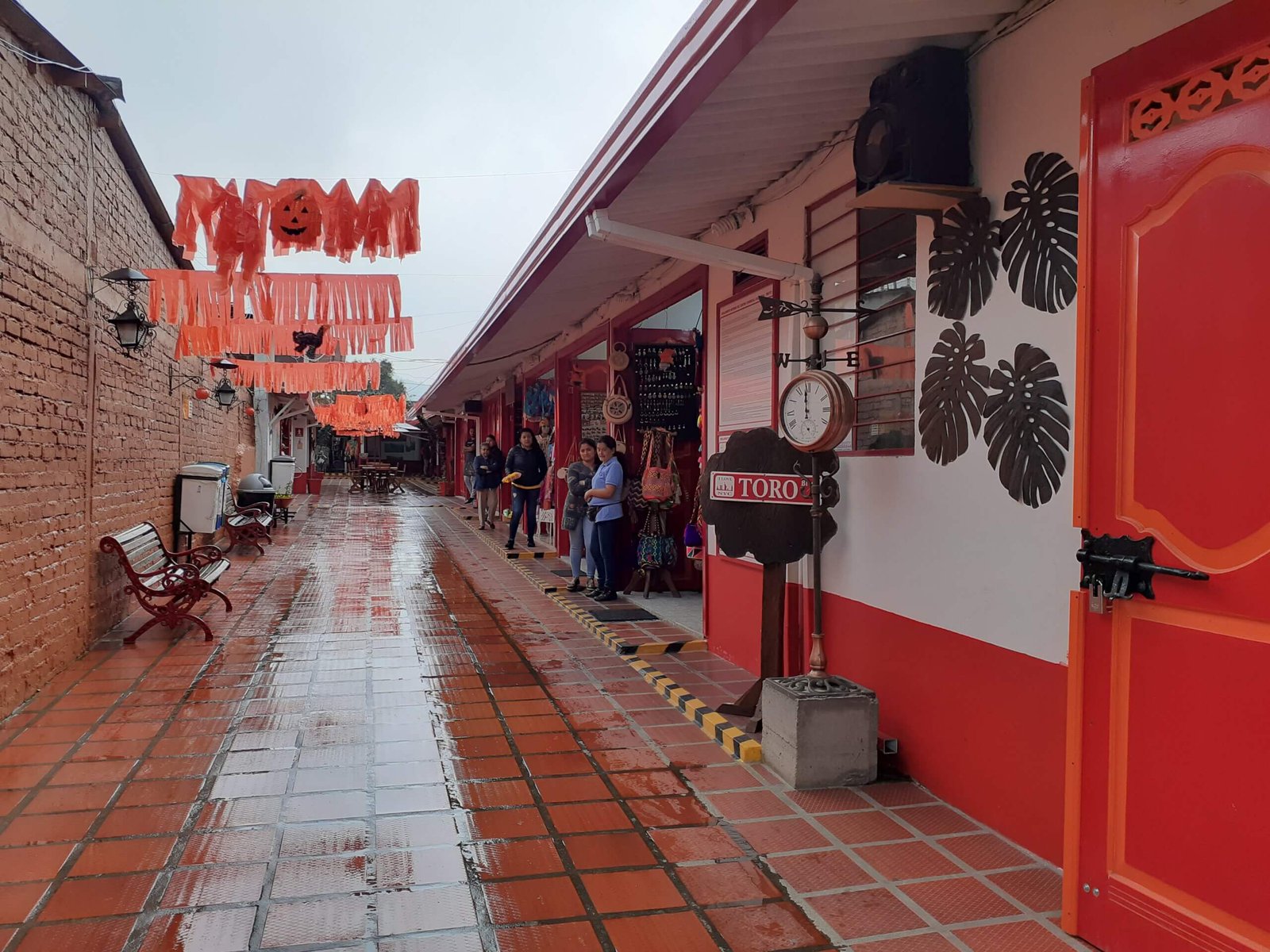 20191022_122603-scaled