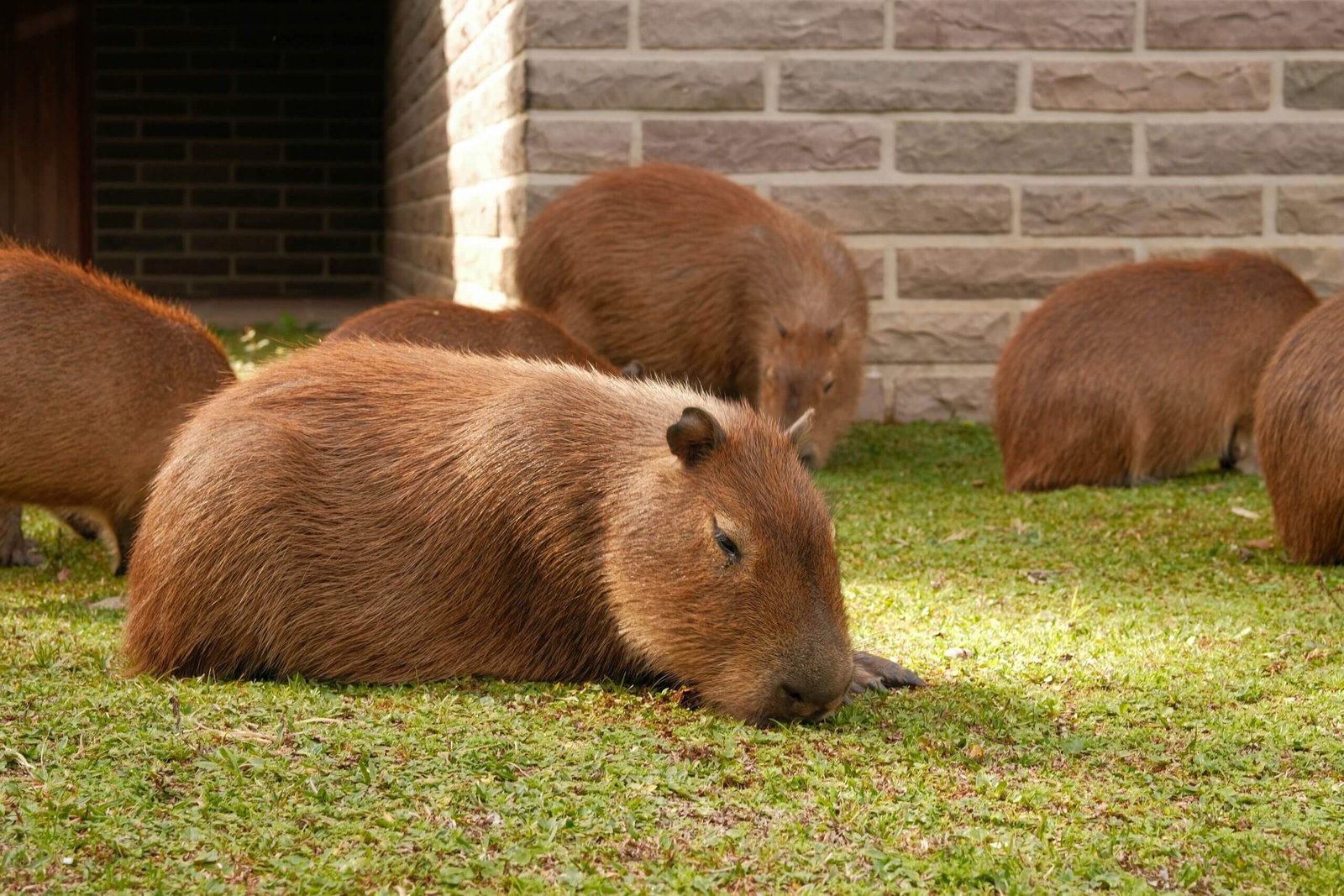 best-of-brazil-11-days-tour-9-scaled