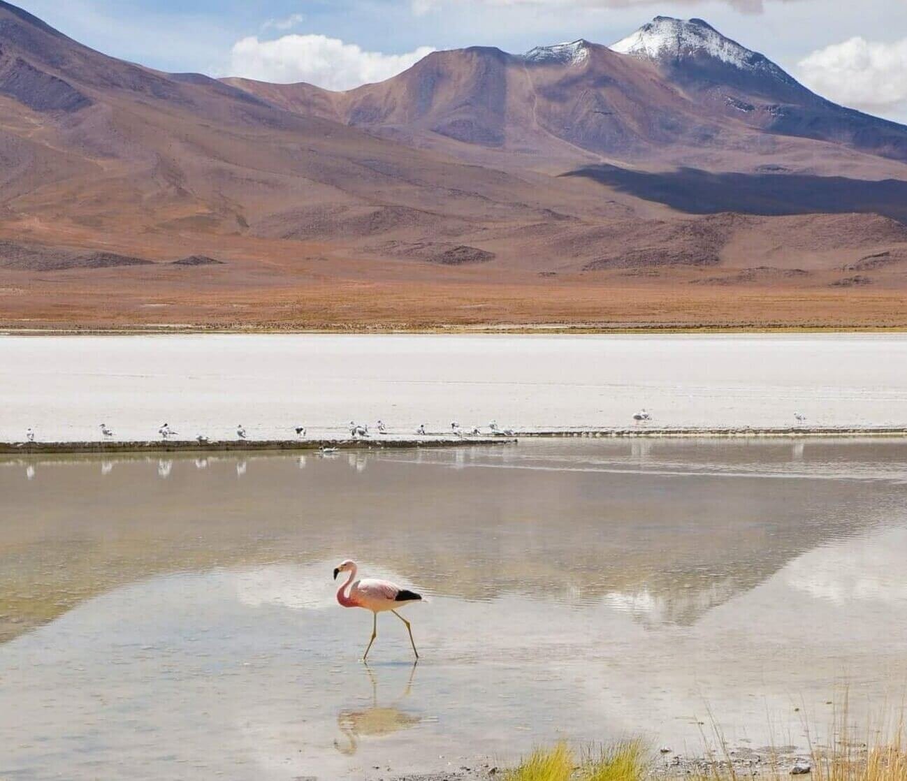 geisers-uyuni-scaled-e1753207291123