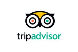 tripadvisor logo