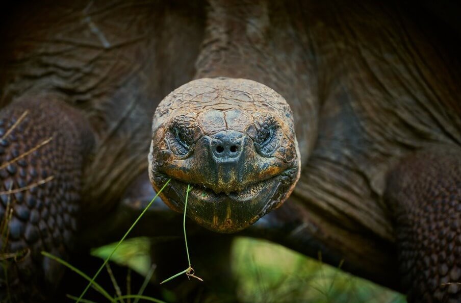 whatsapp-image-2023-09-29-at-11.05.12