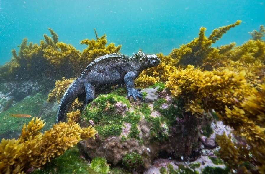 whatsapp-image-2023-09-29-at-11.06.49